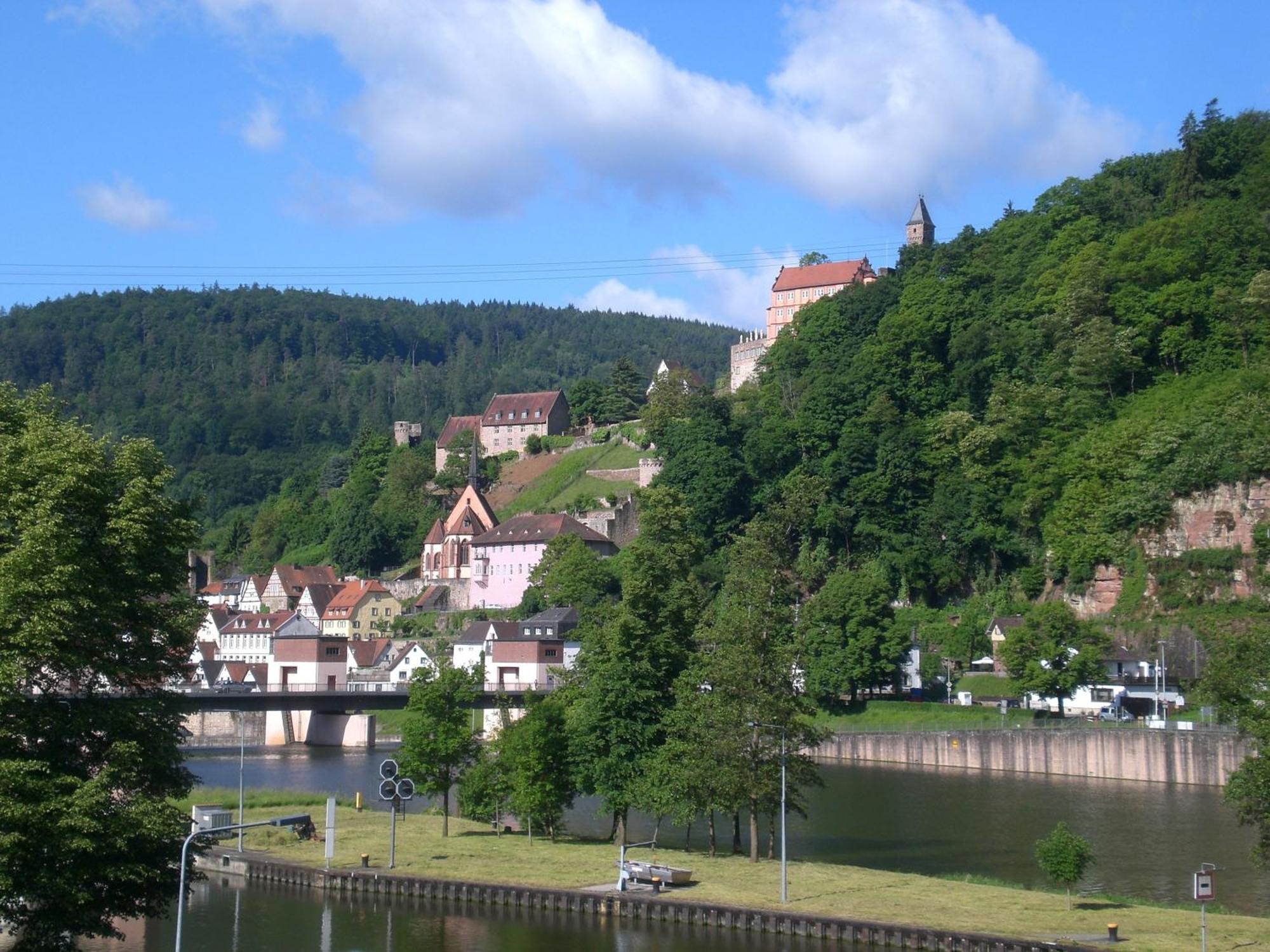 Romantisches Hirschhorn Am Neckar Exterior photo