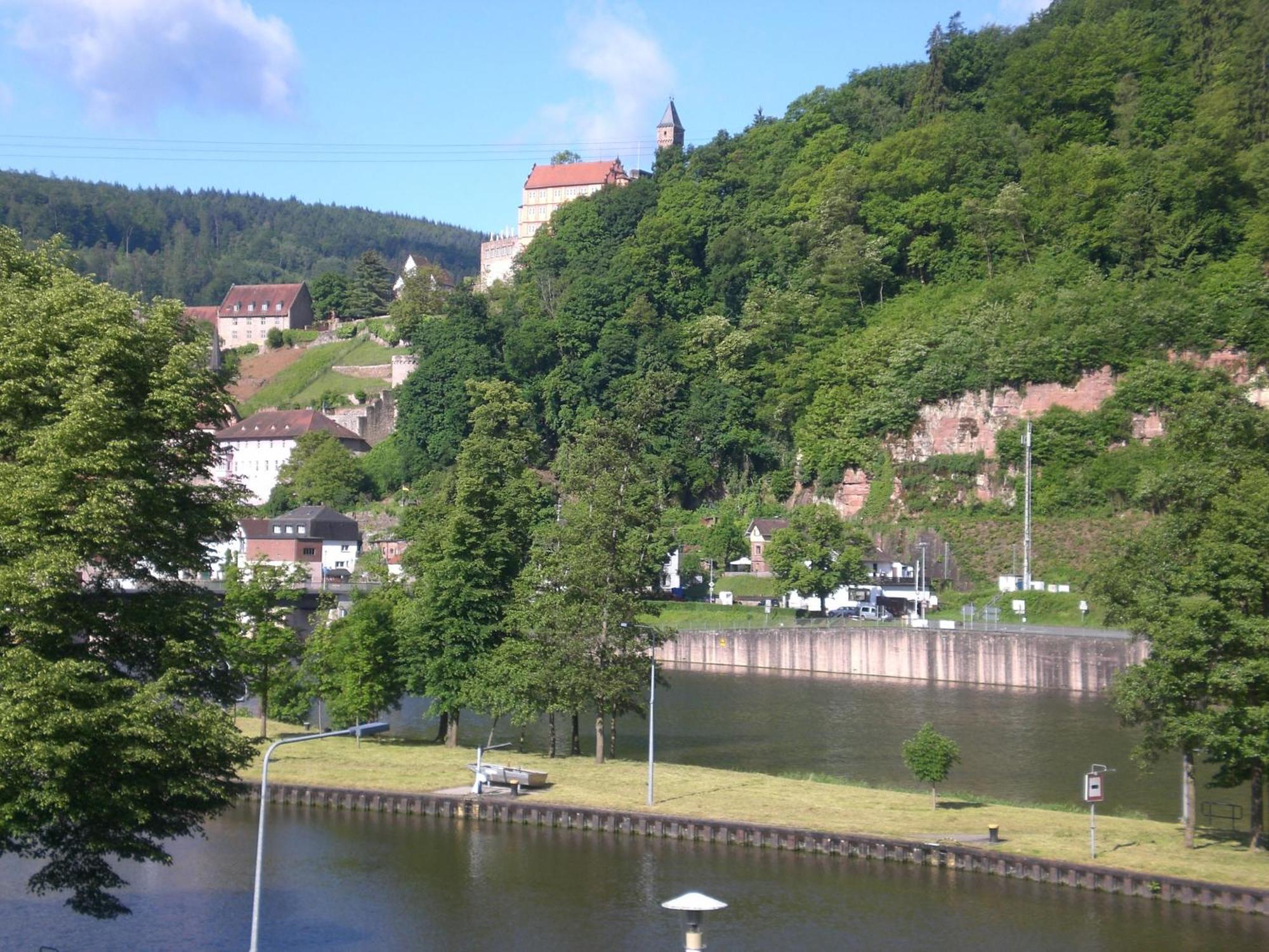 Romantisches Hirschhorn Am Neckar Exterior photo