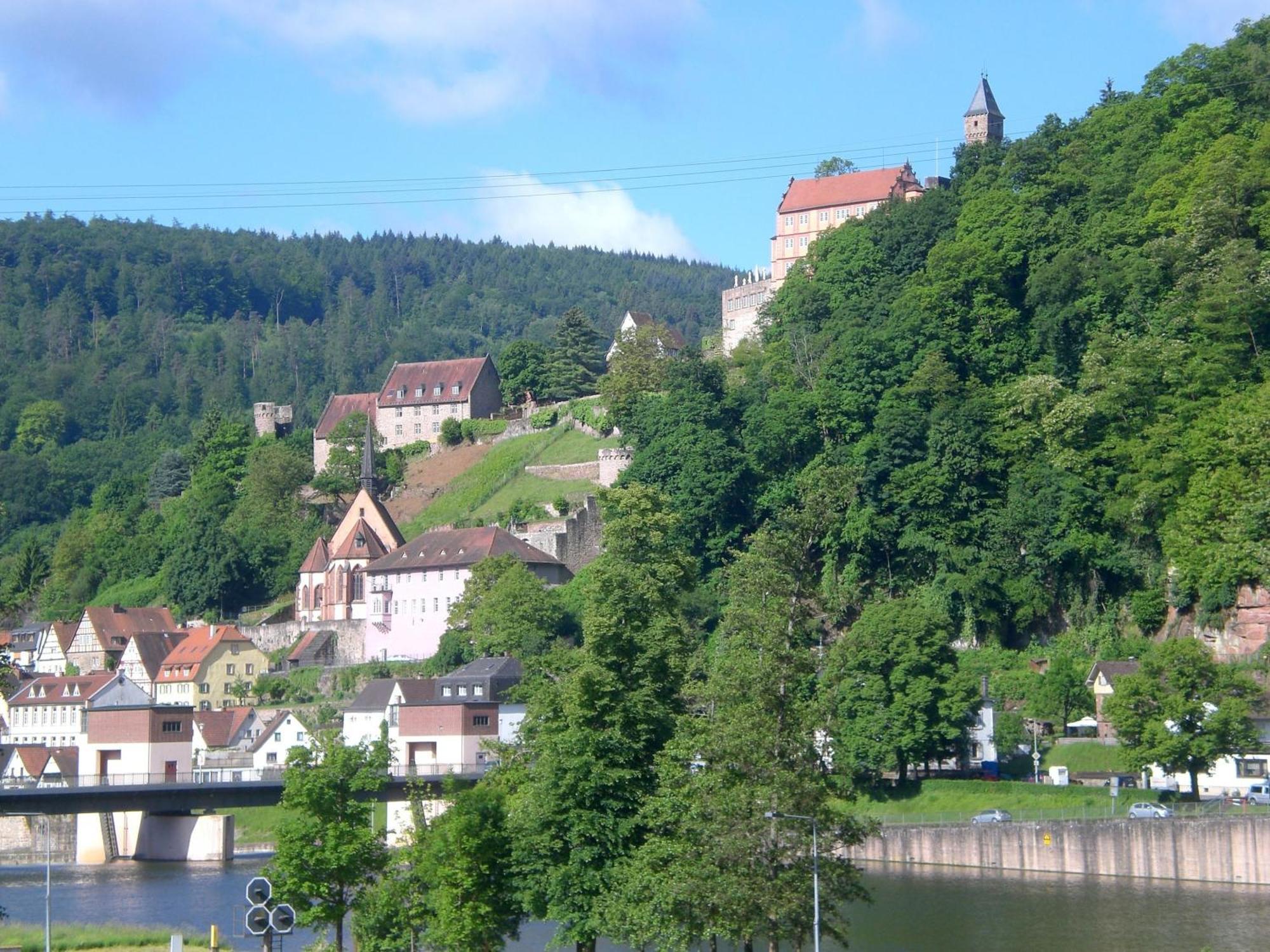 Romantisches Hirschhorn Am Neckar Exterior photo