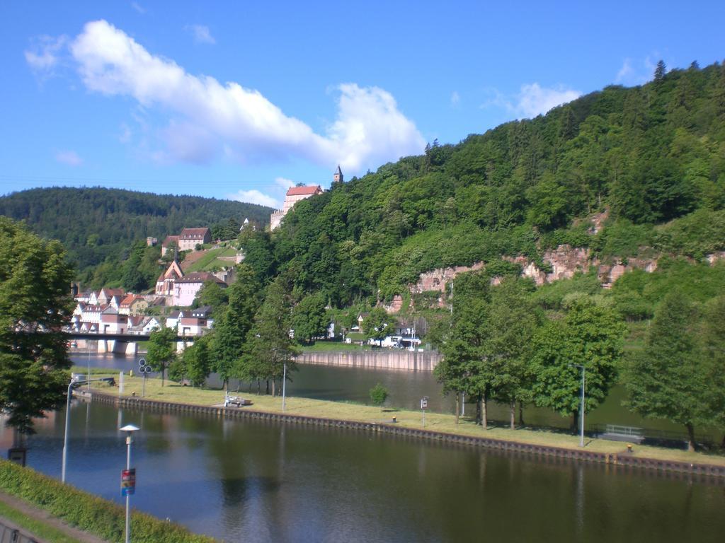Romantisches Hirschhorn Am Neckar Exterior photo