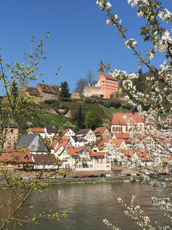 Romantisches Hirschhorn Am Neckar Exterior photo