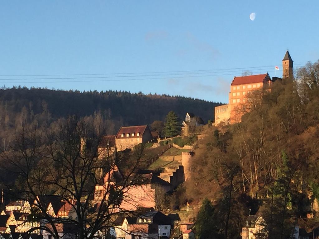 Romantisches Hirschhorn Am Neckar Exterior photo